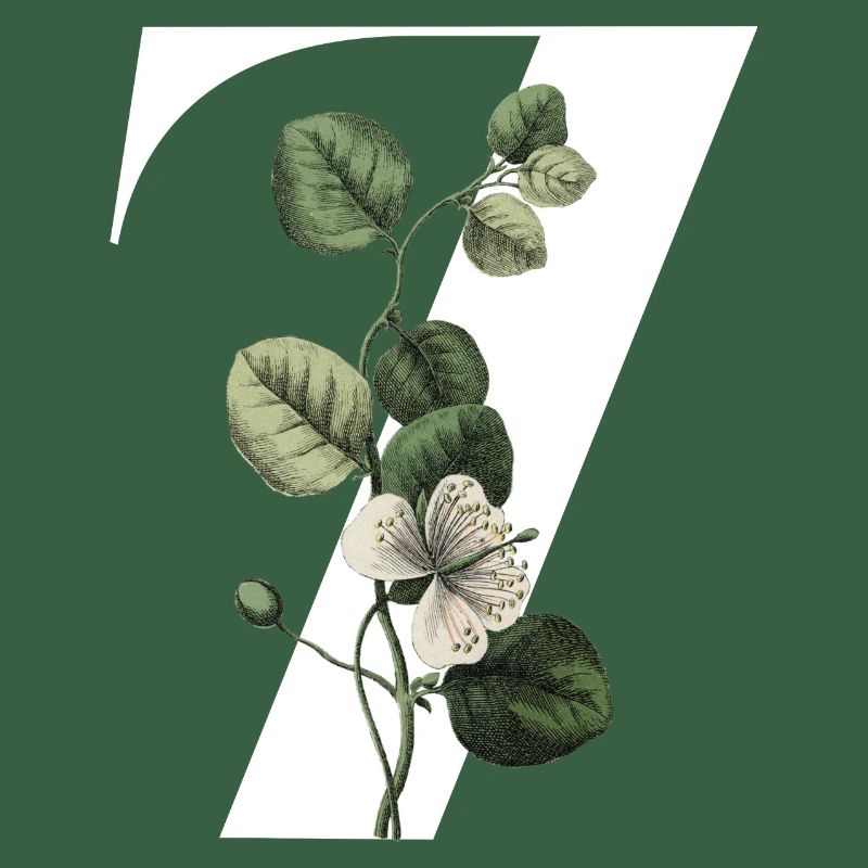Nummer 7 Blumengrün -7. Blumengeburtstag