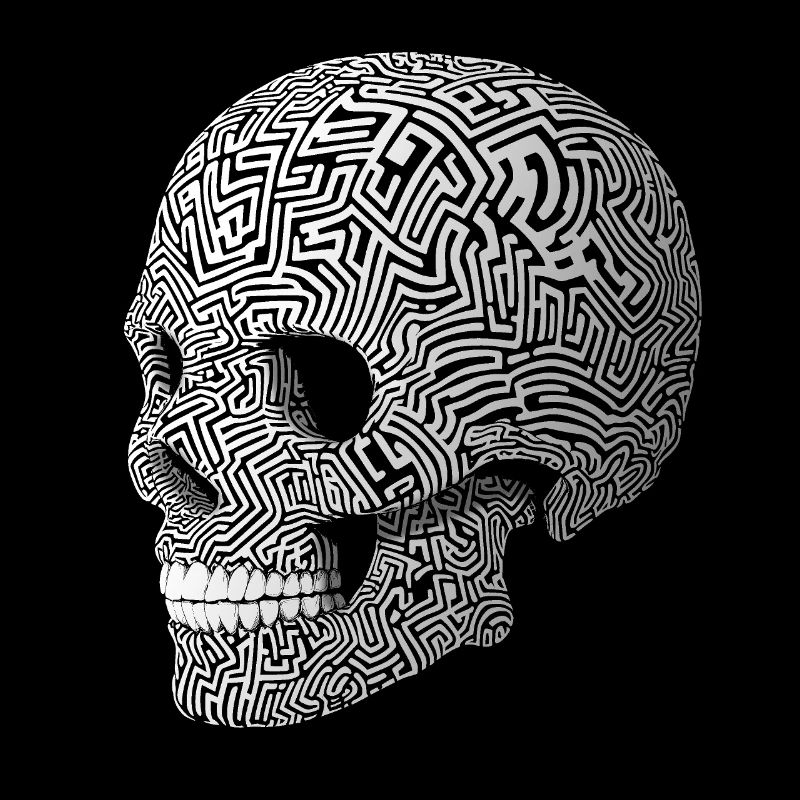 3d Skull