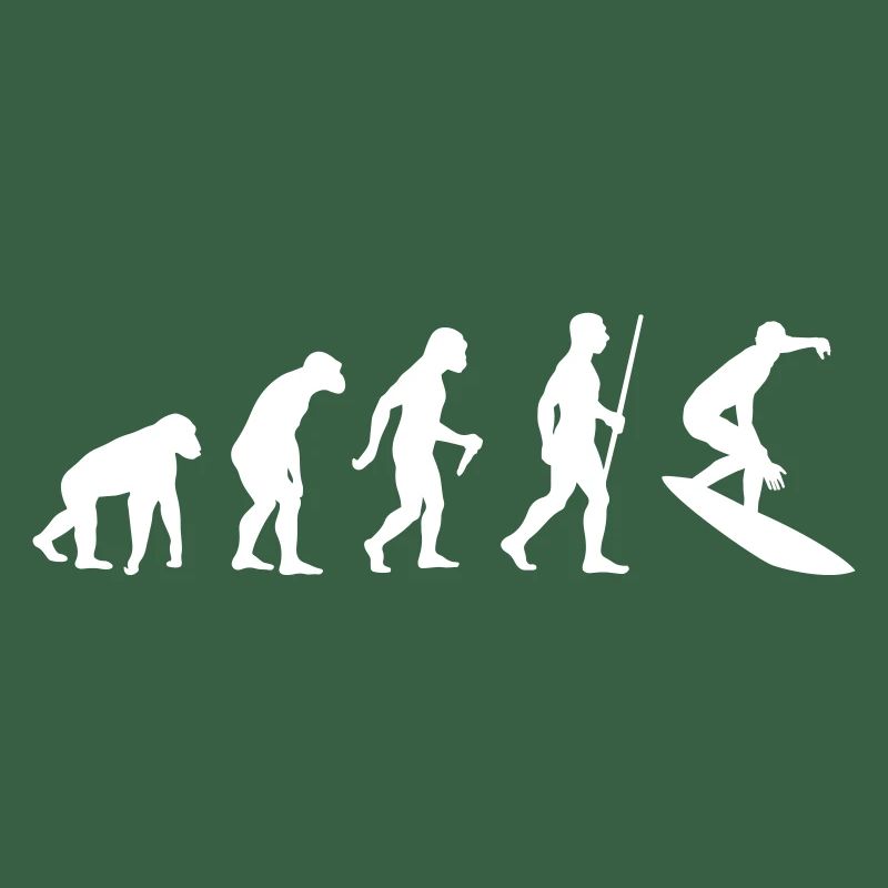 Surfer Evolution
