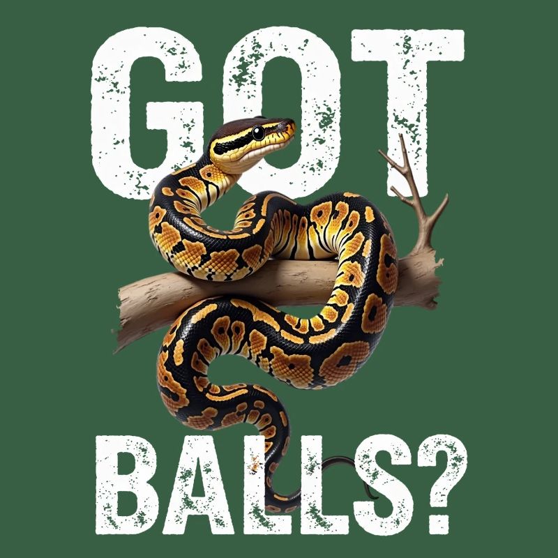 Python roi Serpents Amateurs de terrarium Python