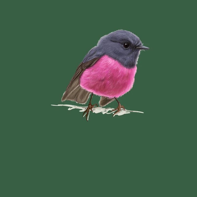 coole Vogel Pink Robin Geschenkidee