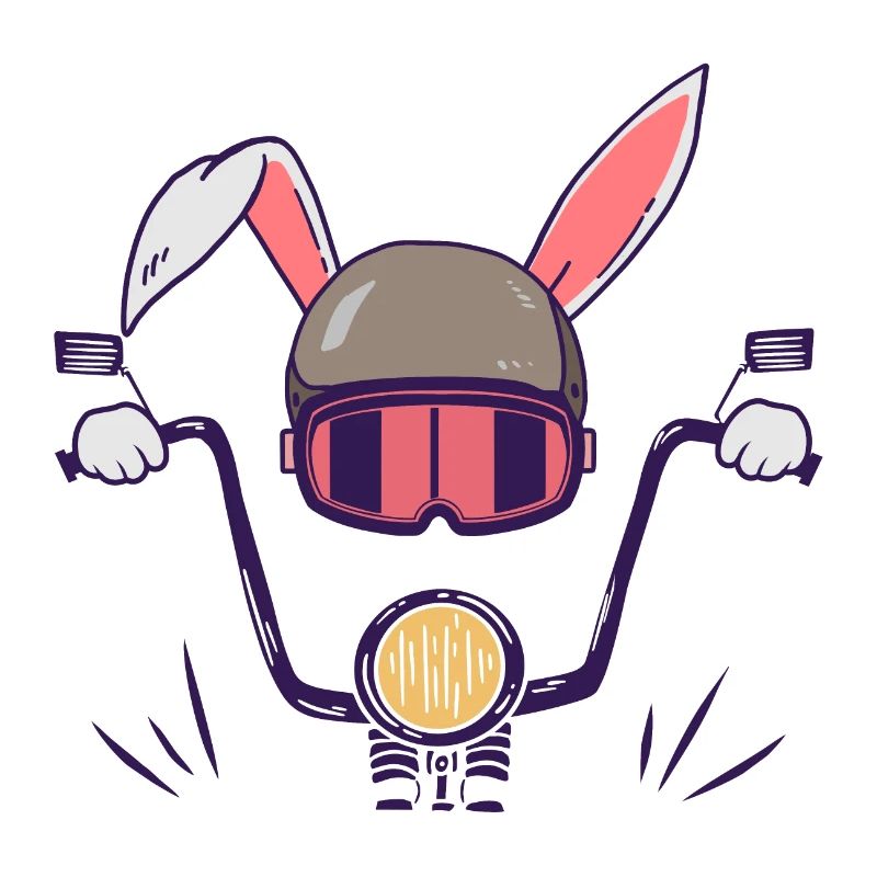 Rabbit biker motorcyclist