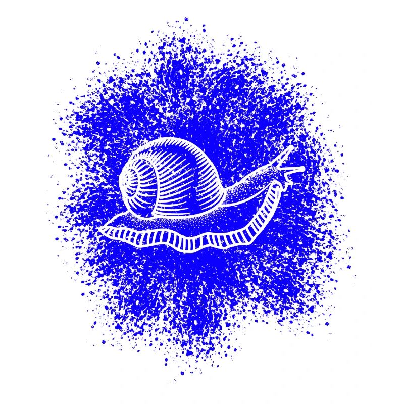 Snail with snail shell