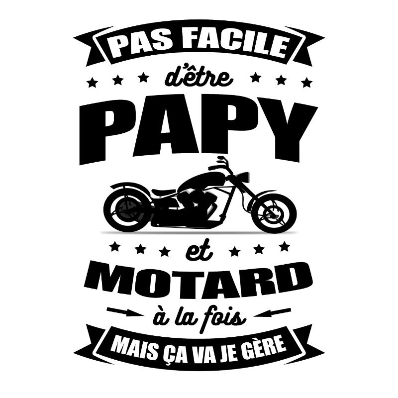 PAPY MOTARD - PAPI MOTARD