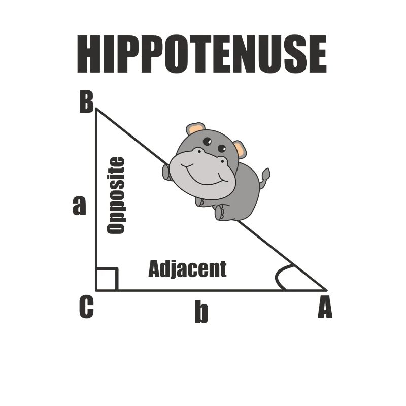 Nerd Geometry Hippotenuse Hypotenuse Math