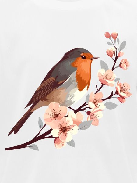 Rotkehlchen auf Kirschblüte