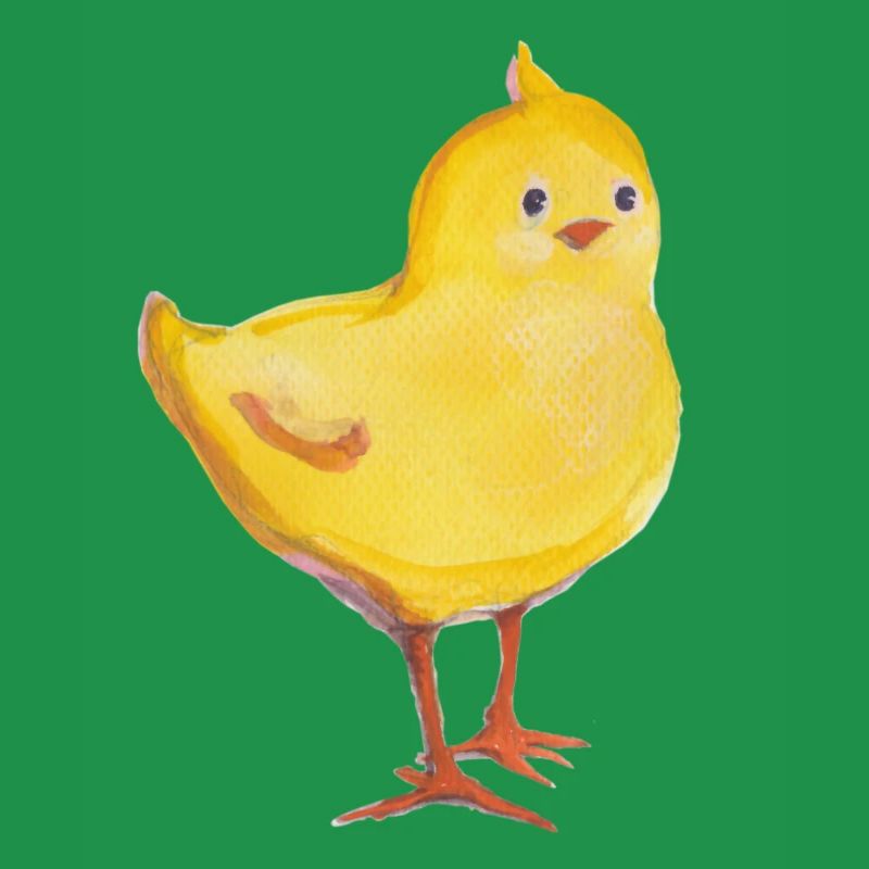 Pulcini sfacciati