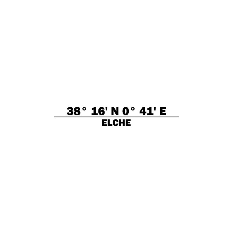 Elche coordinates