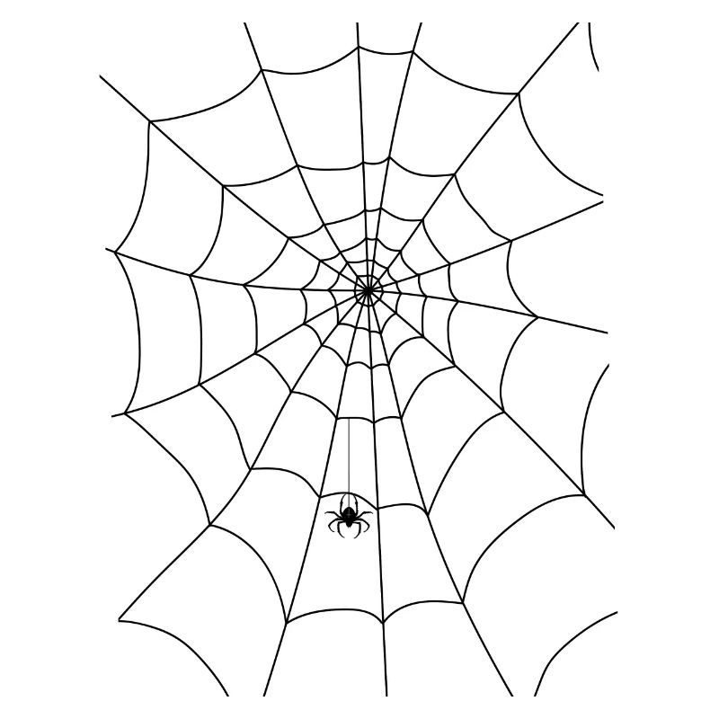 Spider web, spider, spider in the web