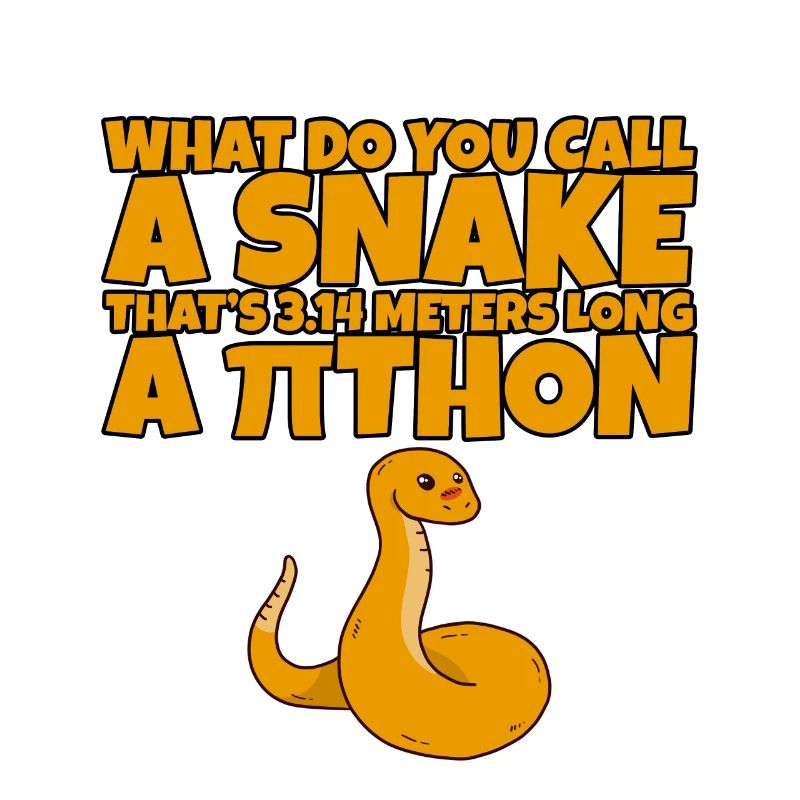 Un serpent de 3,14 mètres de long, un Pithon 2