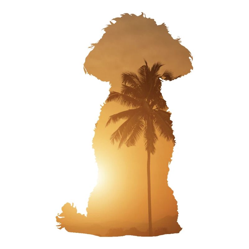 Plage d’été - Caniche