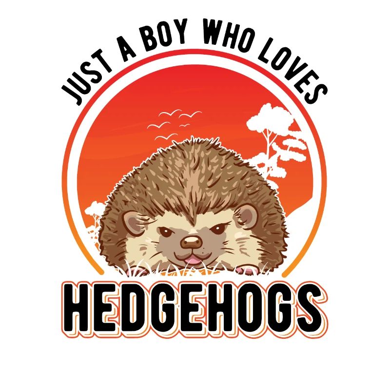 Igel Junge Stacheligel