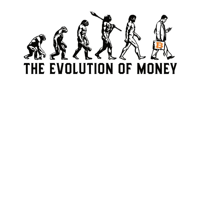 Bitcoin Plan B BTC Satoshi Krypto Hodl Maximalist
