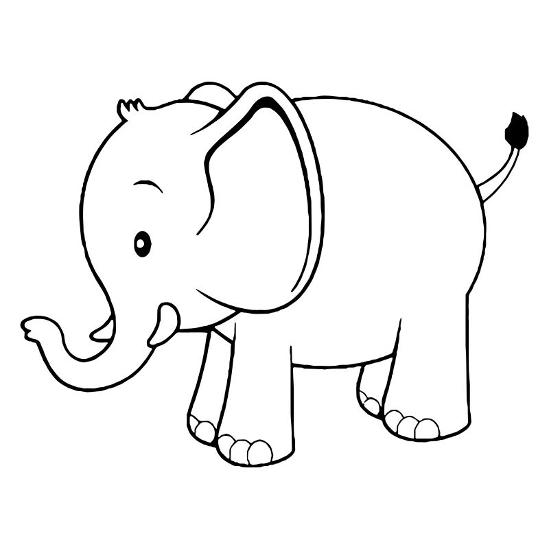 Happy Elephant
