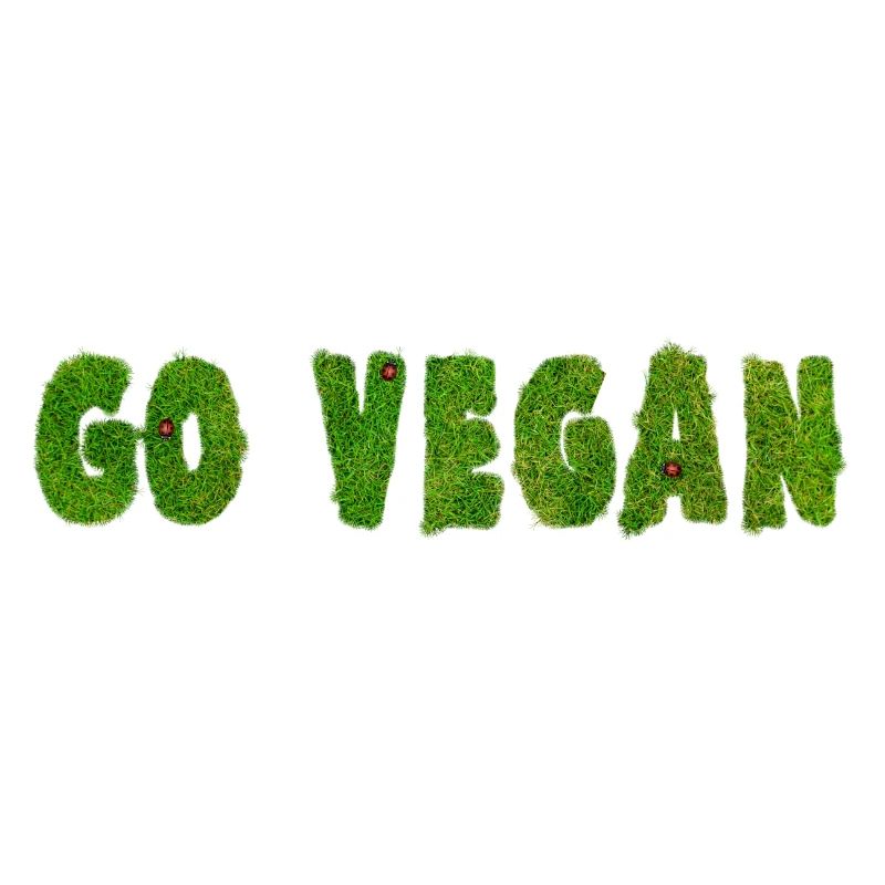 Go Vegan - Statement