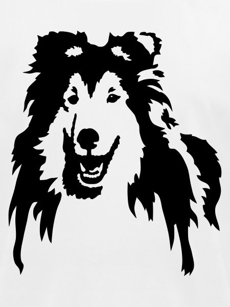 collie
