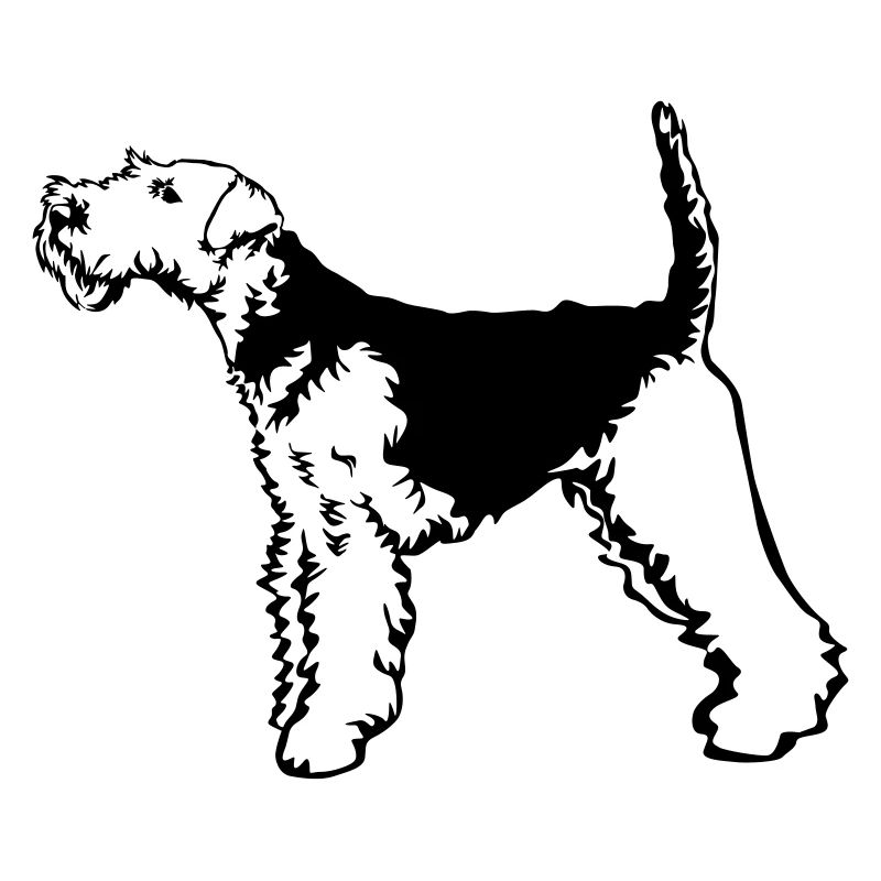 Welsh Terrier