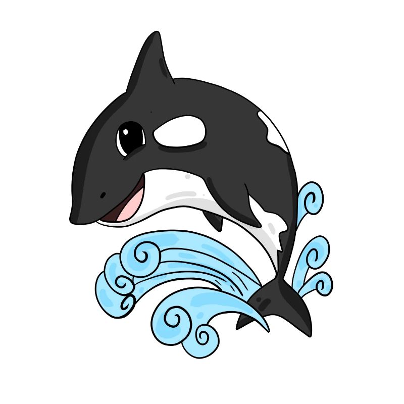 Killer whale