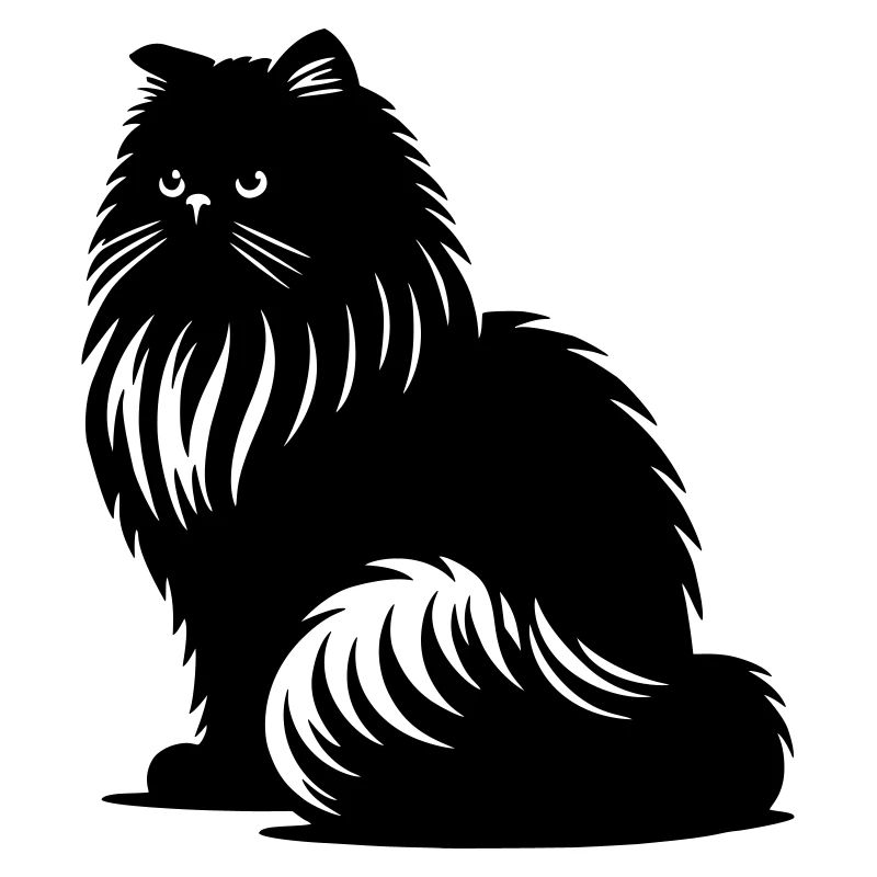 Chat persan - Persan