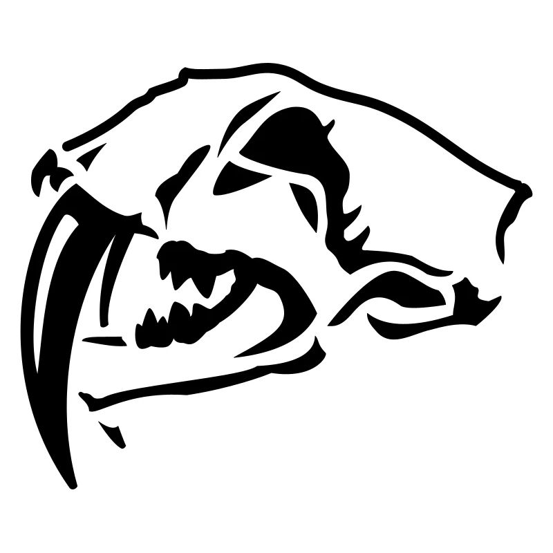 Sabre-toothed Tiger Skull