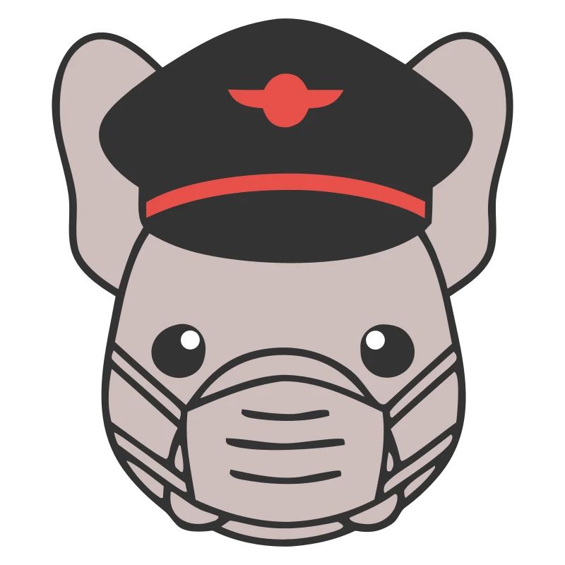 Frenchie Pilot Mask Flying