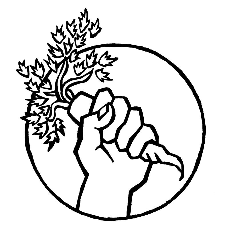 Carrot