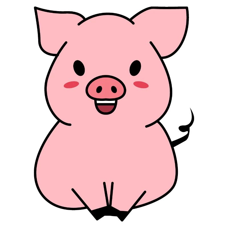 Cute Pig