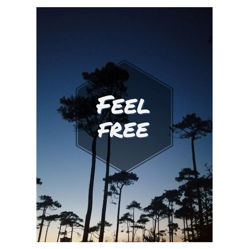 Feel free