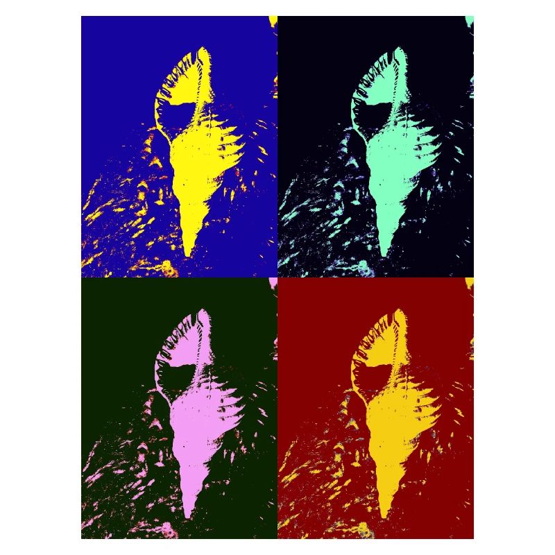 Mediterranean shellfish