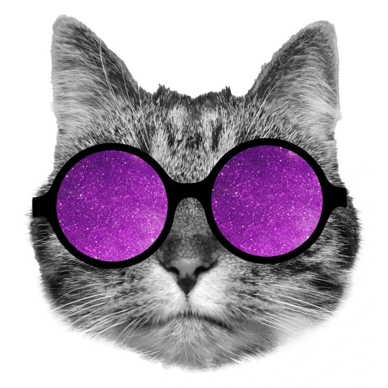 Chat de l’espace