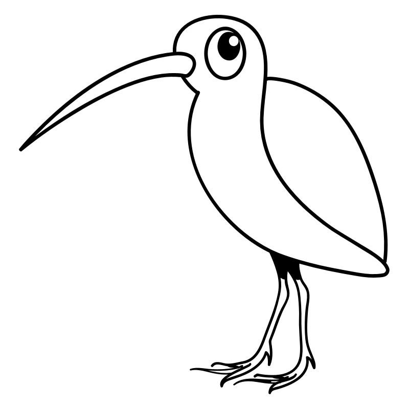 Schnepfe Vogel Tier witzig süss Design