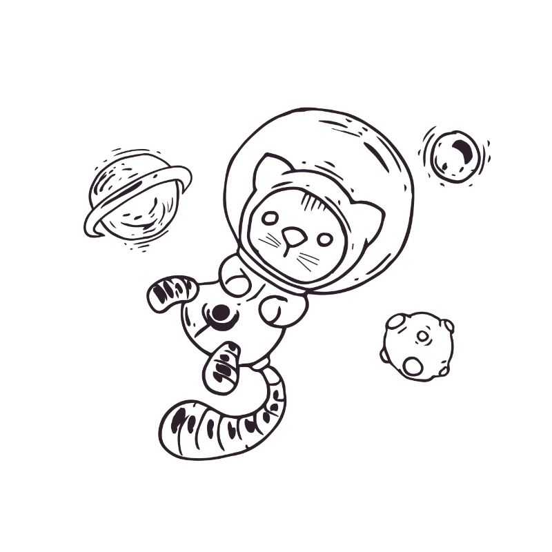 Chat dans l'espace