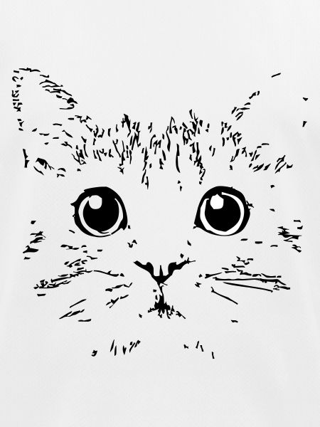 cat head