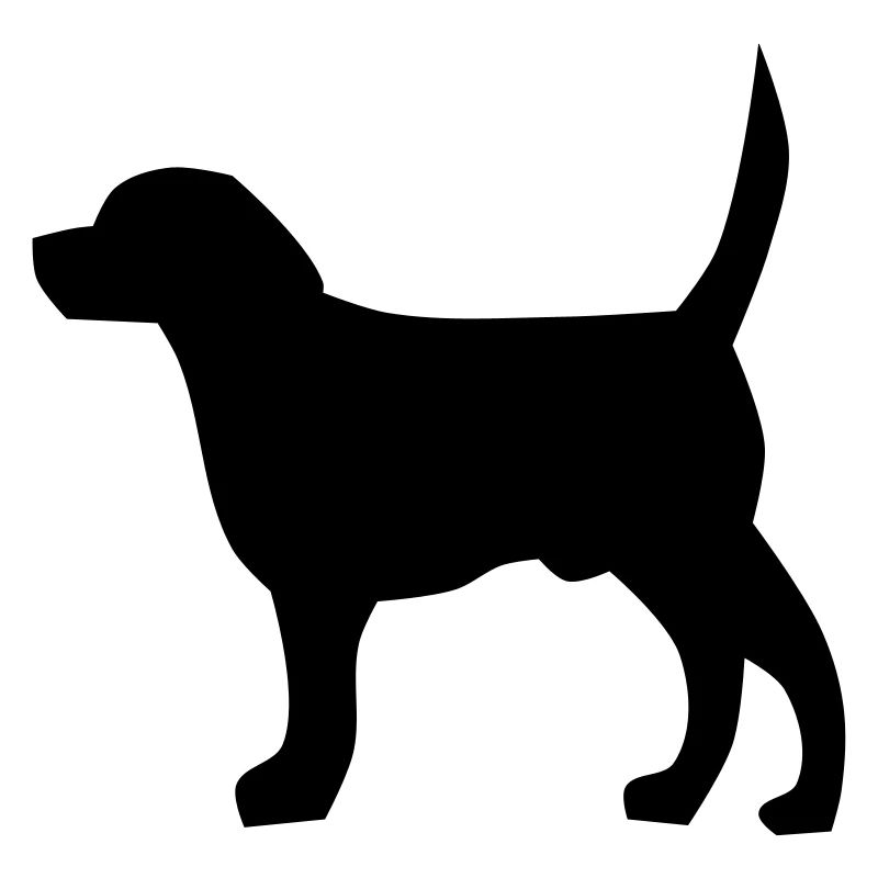 Cane