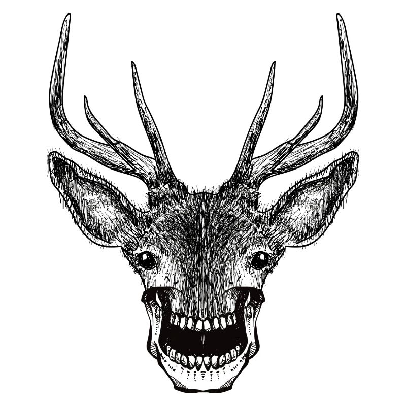 Deer Skull