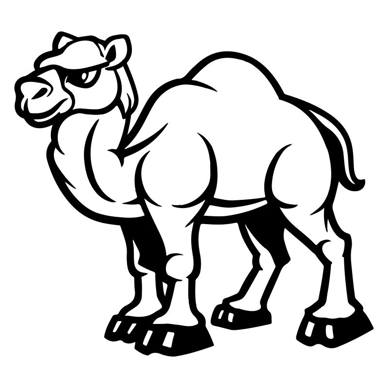 kamel