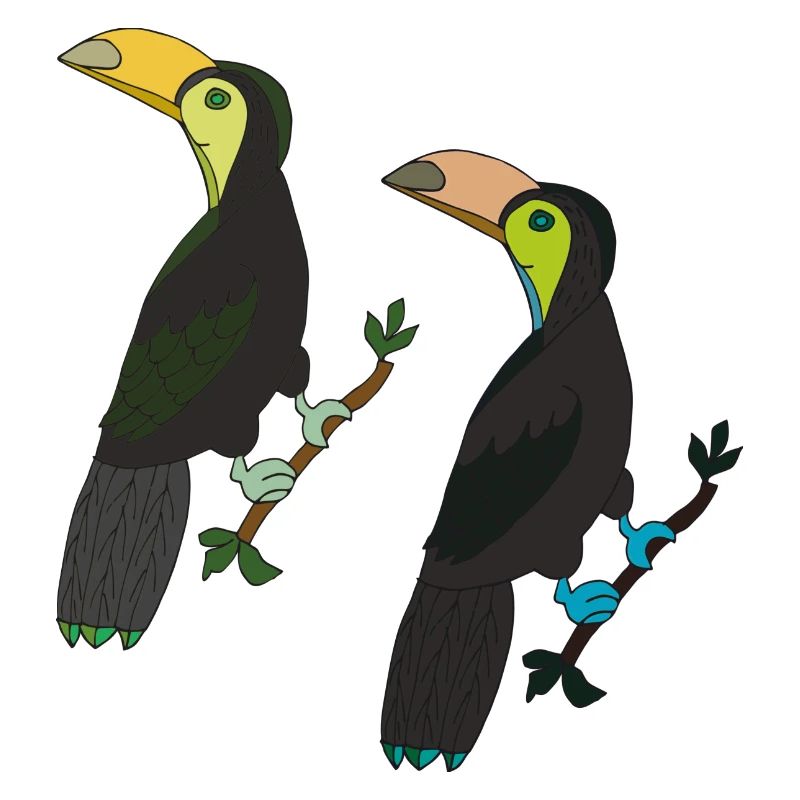 Toucan 2-fold