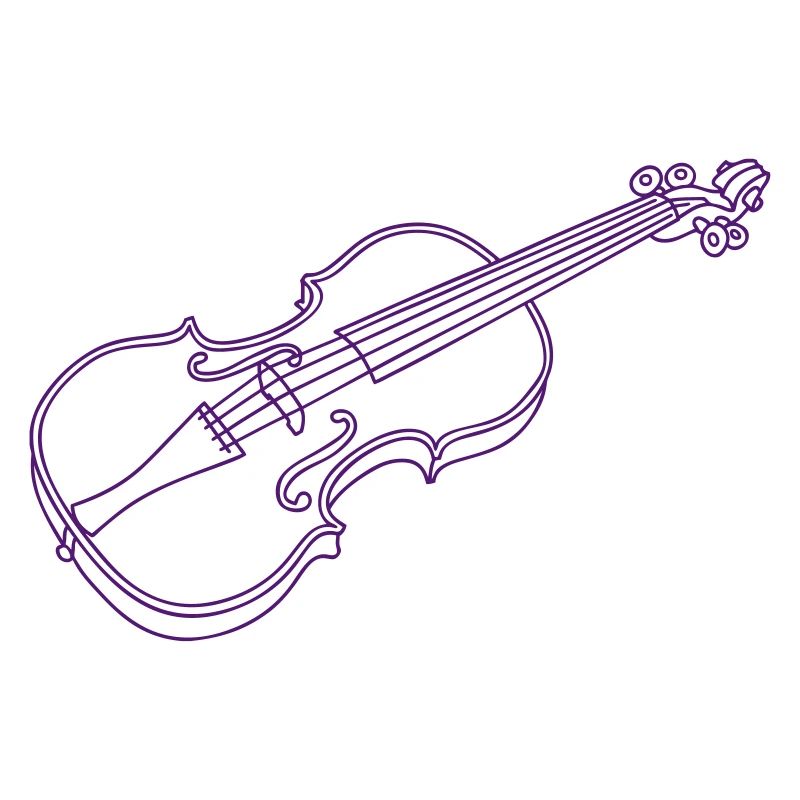 Violin / fiddle