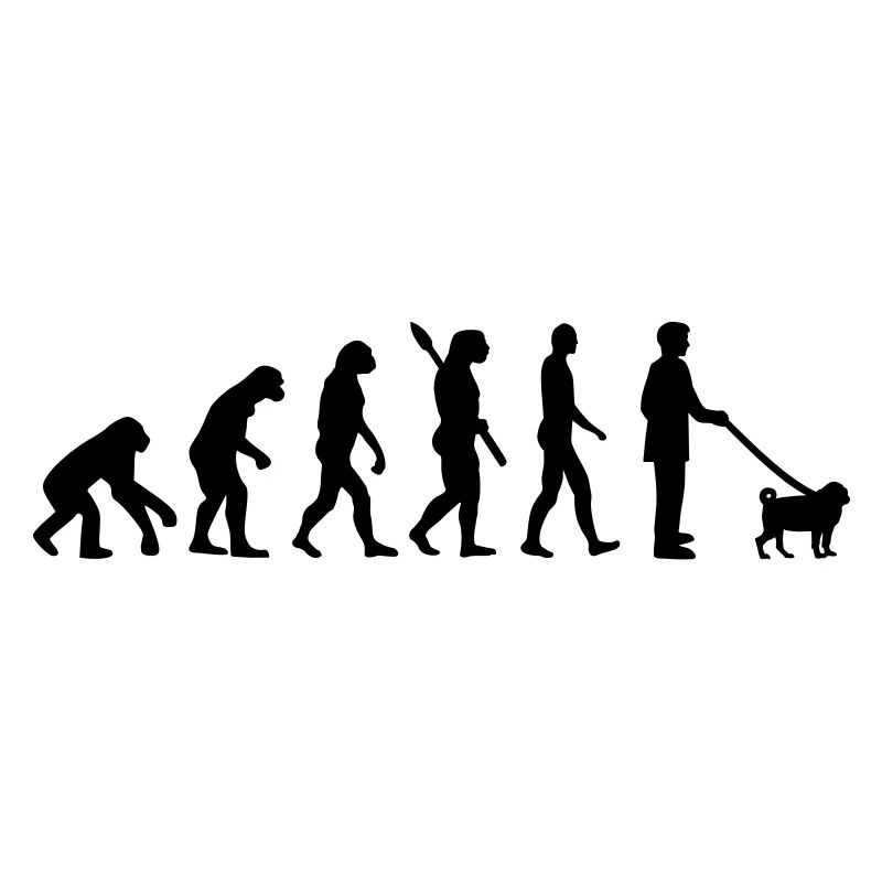 Mops