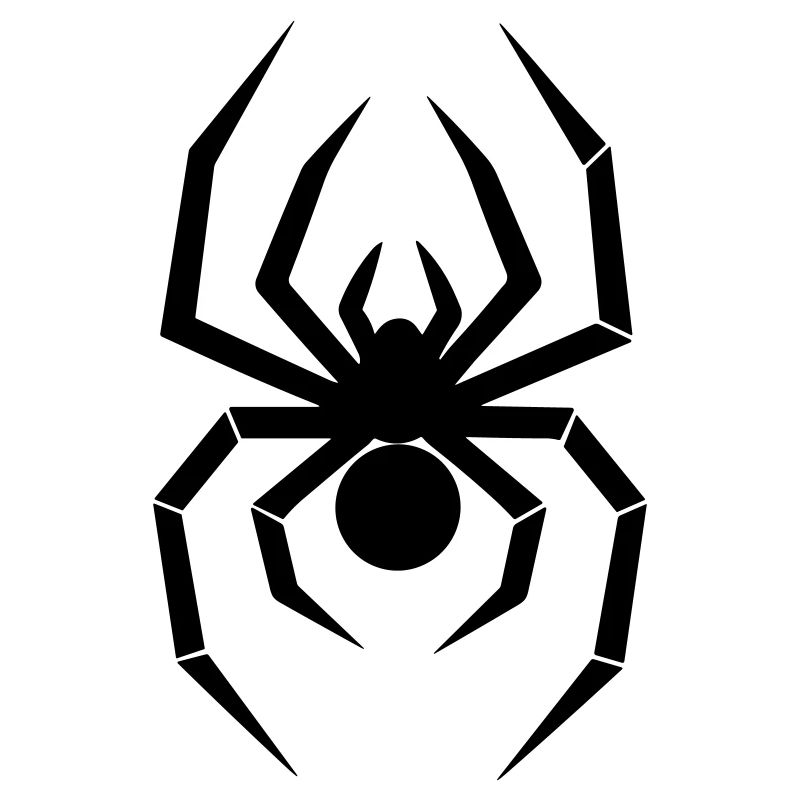 Spinne