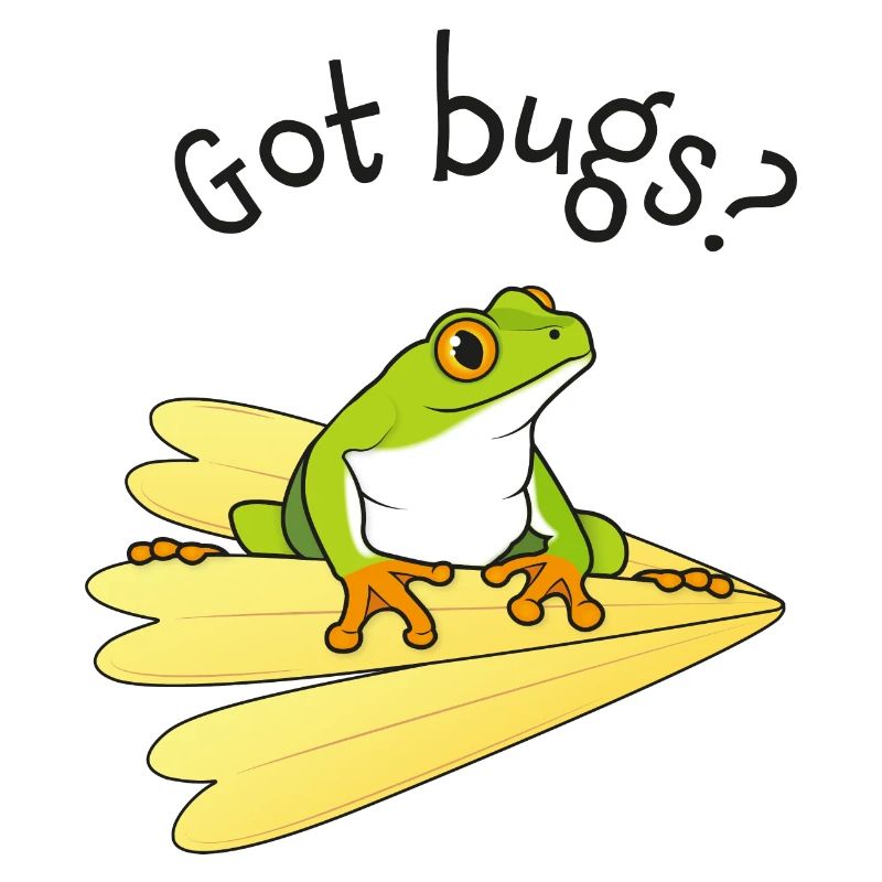 Frog's dream