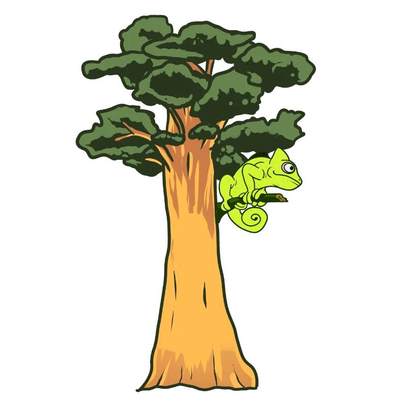 Gecko tree reptile chameleon rainforest nature