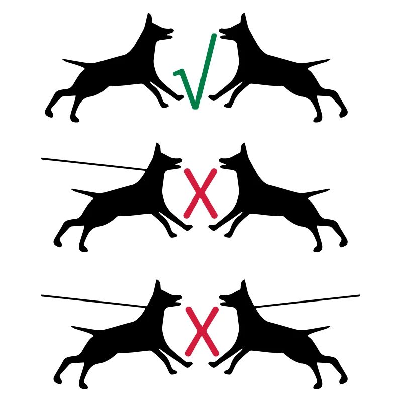 Dogs on a leash