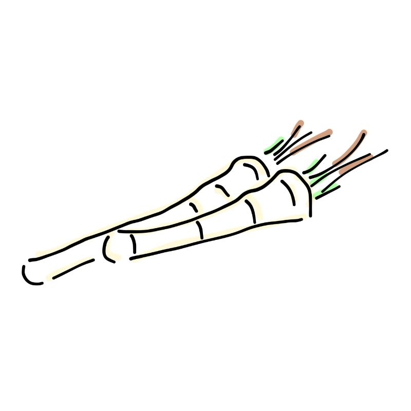 Meerrettich