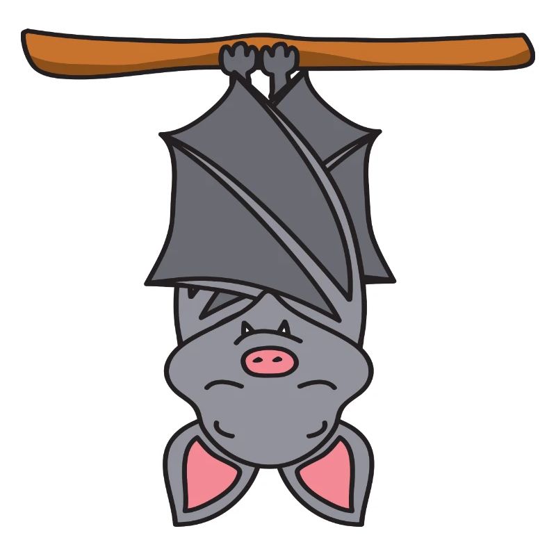 Fledermaus