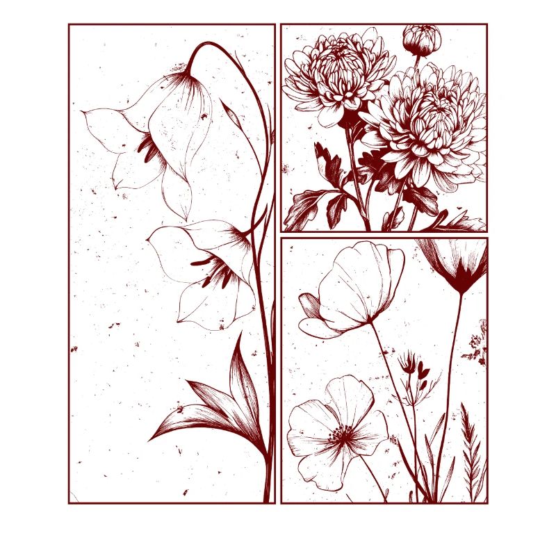 Campanula Chrysantheme Blumen Botanik Geschenk