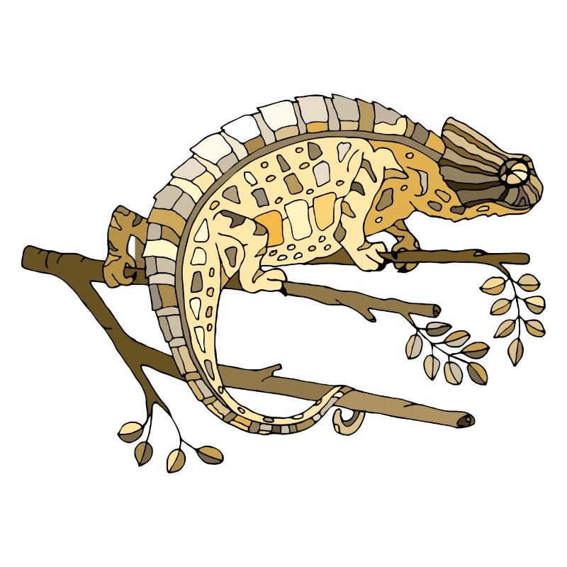 Chameleon