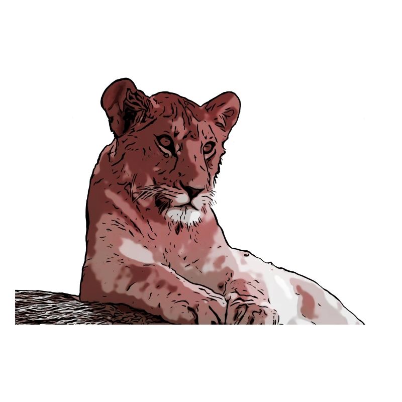 Young lion