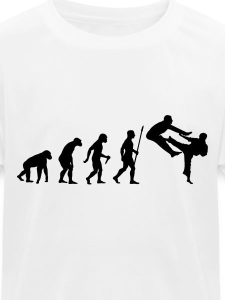 Entwicklung des Karate