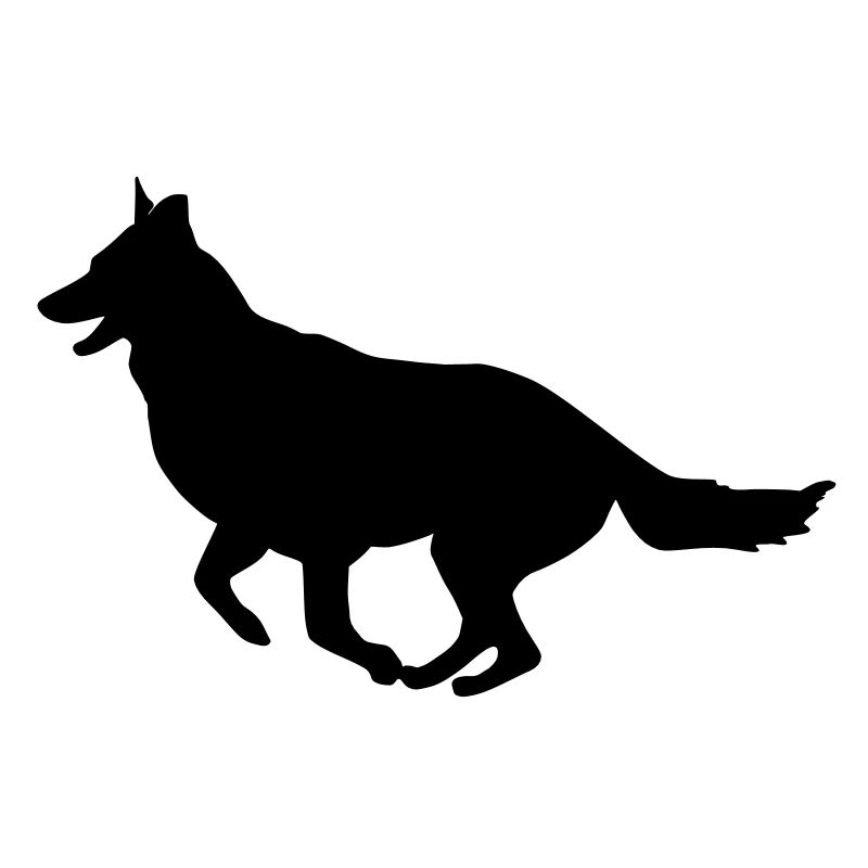 Schäferhund_cb
